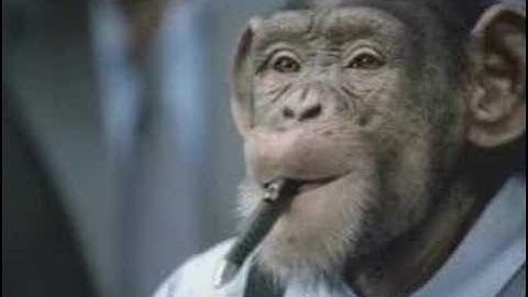 CareerBuilder.com: Monkey Business (Borrowed Pen)