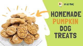 DIY Pumpkin Dog Treats: Homemade Pumkin Dog Biscuits!