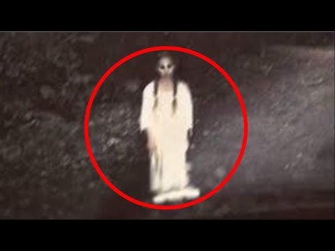 5 VIDEOS DE