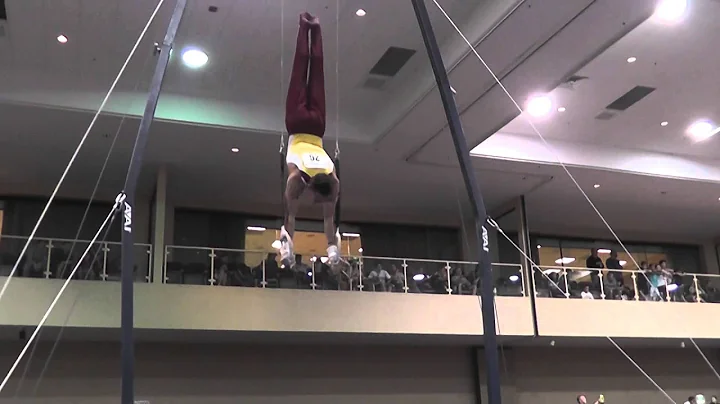 Steven Jaciuk - Still Rings - 2014 Winter Cup Chal...