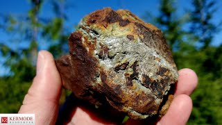 Extensive Massive Sulphide Occurrence Found! (STAR OF THE WEST PROPERTY) $KLM
We found an extensive massive sulphide occurrence with copper sulphides, iron pyrite, arsenopyrite along two new logging roads. The showing has a width of 40m and a length of 100m esposed. The showing has boulders several hundred kilograms in size full of massive sulphides.
The area is located very close to many other showings which contain gold and silver as well as base metals. There are several old gold mines on this property as well which produced high grade gold and copper. Basic mineral exploration and prospecting has located over a dozen showings within 1km of this new occurrence.
911 EXPLORATION CORP
Patreon: https://www.patreon.com/911mining
Website: https://www.911mining.com
Telegram Channel: https://t.me/MINING_911
Clips Channel: https://www.youtube.com/channel/UCDUUypwEoUAEKatNs6yqbGg
Inquiries: 911mining@gmail.com
KERMODE RESOURCES (TSXV:KLM)
https://kermoderesources.ca/
https://linktr.ee/kermoderesources
#mining #mineralexploration #gold Extensive Massive Sulphide Occurrence Found! (STAR OF THE WEST PROPERTY) $KLM