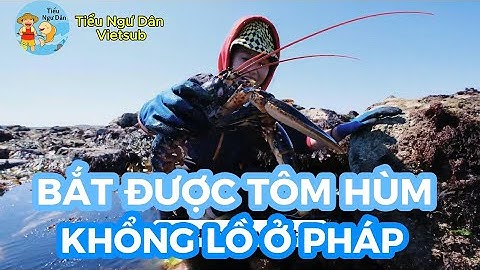 Đi Biển Ở Pháp, Bắt Được Con Tôm Hùm Xanh Khổng Lồ Nặng 4 Cân, Làm Sashimi | TND Vietsub