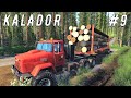 FS 19 - Погрузка и перевозка леса.  Смотрю новую делянку  - KALADOR фермер лесоруб # 9