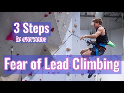 Fear of Lead