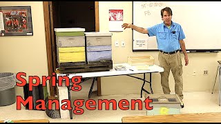 Beekeeping Spring Management