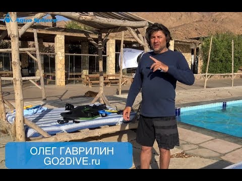 Плавание для взрослых,