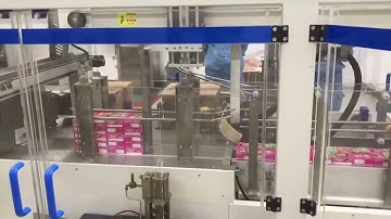 YL-650  High Speed Case Packing Machine ,Case packer