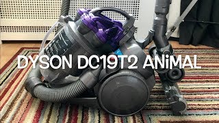 Dyson DC19T2 Animal After And Referbishment Video -