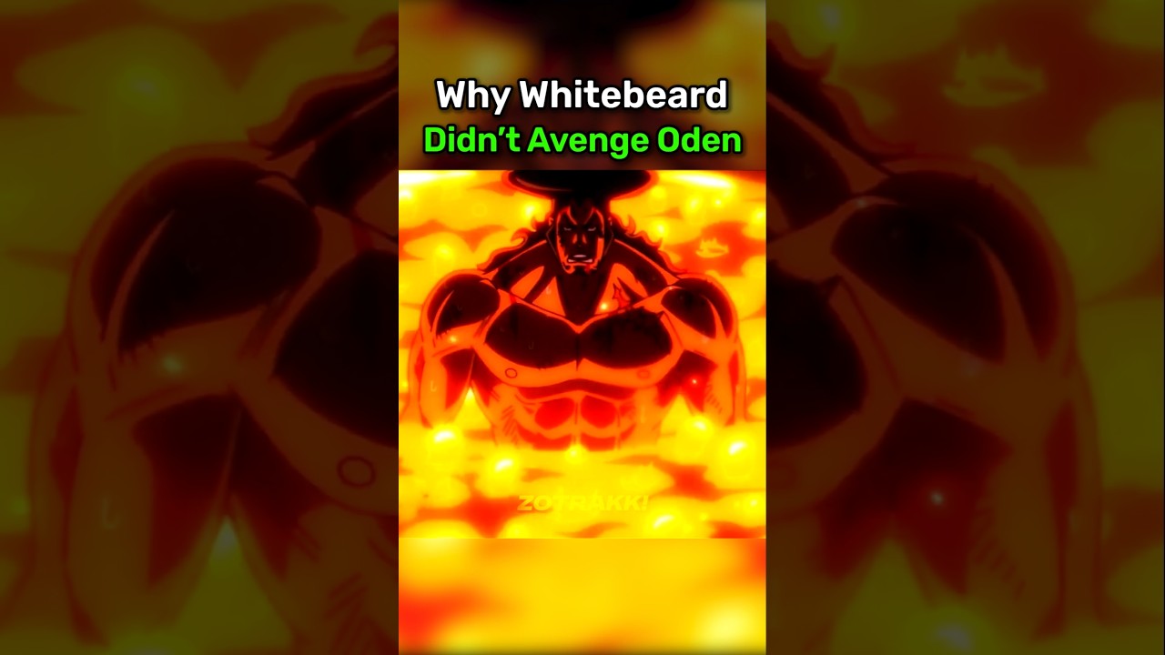 Why Whitebeard didn't avenge Oden
