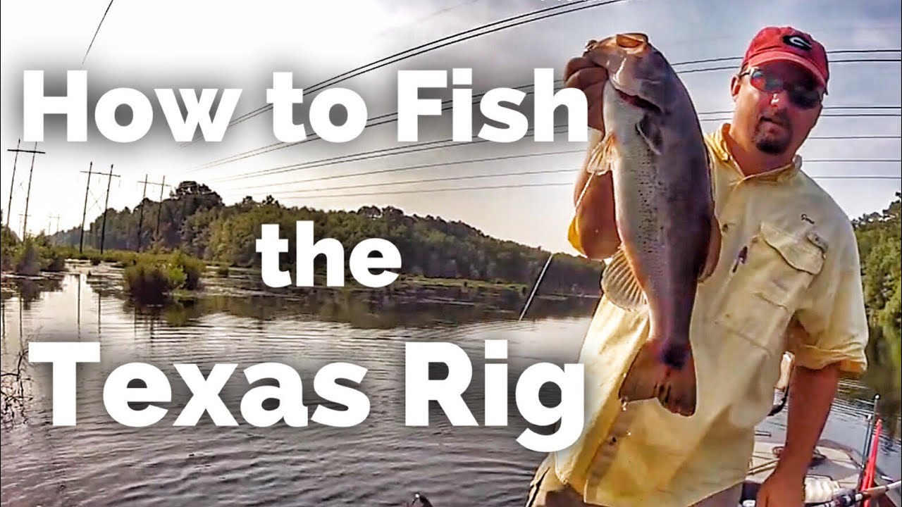 How to Fish the Texas Rig (Tips and Tricks) 