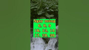 LỊCH CẮT TÓC THÁNG 9 ĐỂ VẬN TRÌNH THĂNG TIẾN MAY MẮN