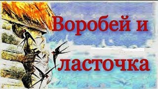 Аудио рассказ Воробей и ласточка