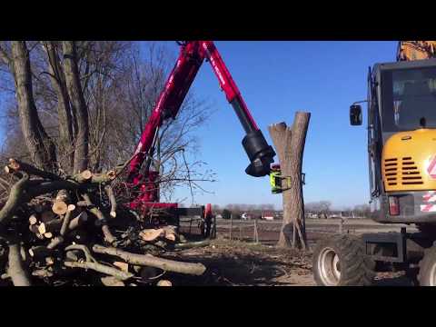 Bomen kappen door telescoopkraan met klem en kettingzaag - De Boomverzorging