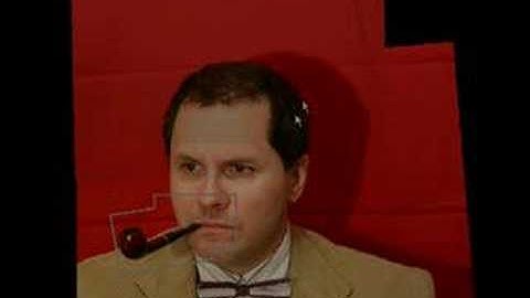 Scene Collages and Flexible Camera Arrays