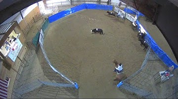 Big Sky Ranch Sorting Saddle Series #4 - #7 SORT - Round #2 - Ride #9