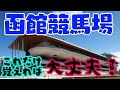 【函館競馬場攻略】距離別の強めの特徴を徹底解説　馬券に役立つ有利な脚質、騎手、血統など買い方を攻略