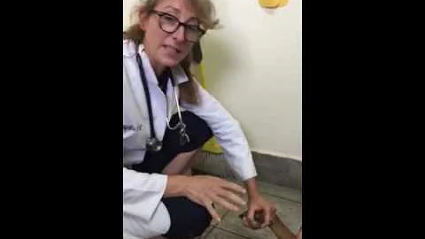 How long does it take for a dog's claw to grow back?