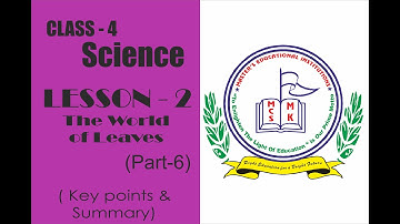 CLASS-4 : Science, LESSON 2- The World of Leaves (PART-6) Key points and Summary