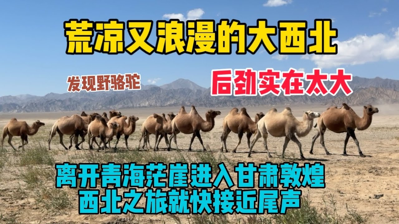 自駕青甘環線，翻越當金山進入甘肅敦煌，西北之旅就快結束了，可這荒涼又浪漫的大西北，真讓人有點捨不得！