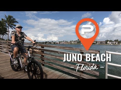 pedego city commuter black edition