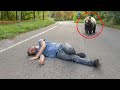 He Had An Accident And Was Lying On The Ground. The bear Heard His Moans and Did The Unexpected!