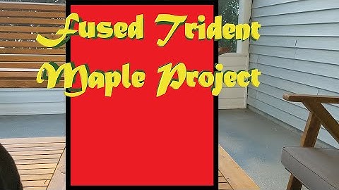 Trident Maple Trunk Fusion Part 1: Building the Frame