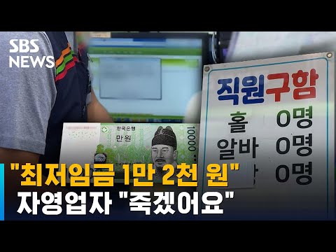 최저임금 1만 2천 원 자영업자 주휴수당 폐지라도 SBS 뉴블더 