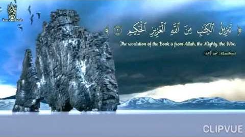 سورة الجاثية  للقارئ ياسر الزيلعي
