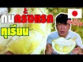 ให้คนญี่ปุ่นลองกินทุเรียนที่เป็นผลไม้ไฮโซๆในญี่ปุ่นดูเป็นครั้งแรก!!!【ชีวิตของคนญี่ปุ่นที่อยู่ไทย】