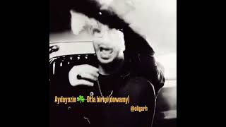 Aydayozin Otla Birini Dowamy