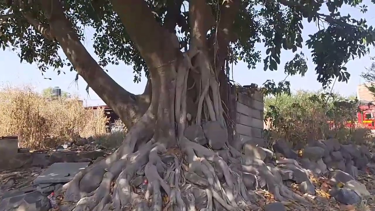 Santiago Totolimixpan🏘️ Zapotlán del Rey 👑 Jalisco 