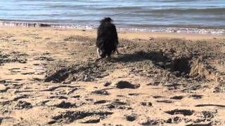 Lubamba A Torre Flavia 26 Novembre 2011 Breve