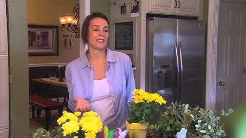 Carrier Infinity 19VS Variable Speed A/C for Homeowners