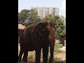 #Rani Baug#youtube short video #@Like&amp; subscribe... #