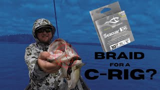 Should You Use BRAID With A CAROLINA RIG?  Is This A HUGE MISTAKE? by SonarFishing 664 views 3 weeks ago 6 minutes, 35 seconds