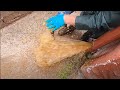 Toilet Drain Unblocking - Dodging Sewage Explosion!