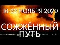 Прогноз на 16-22 ноября 2020: ЗНАКИ СУДЬБЫ, помощь Высших и неделя "Сожженного пути"