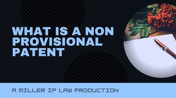 What Is A Nonprovisional Patent Application