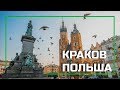 Краков, Польша - что посмотреть за один день в Кракове, замок Вавель, площать Рынок, Ратуша