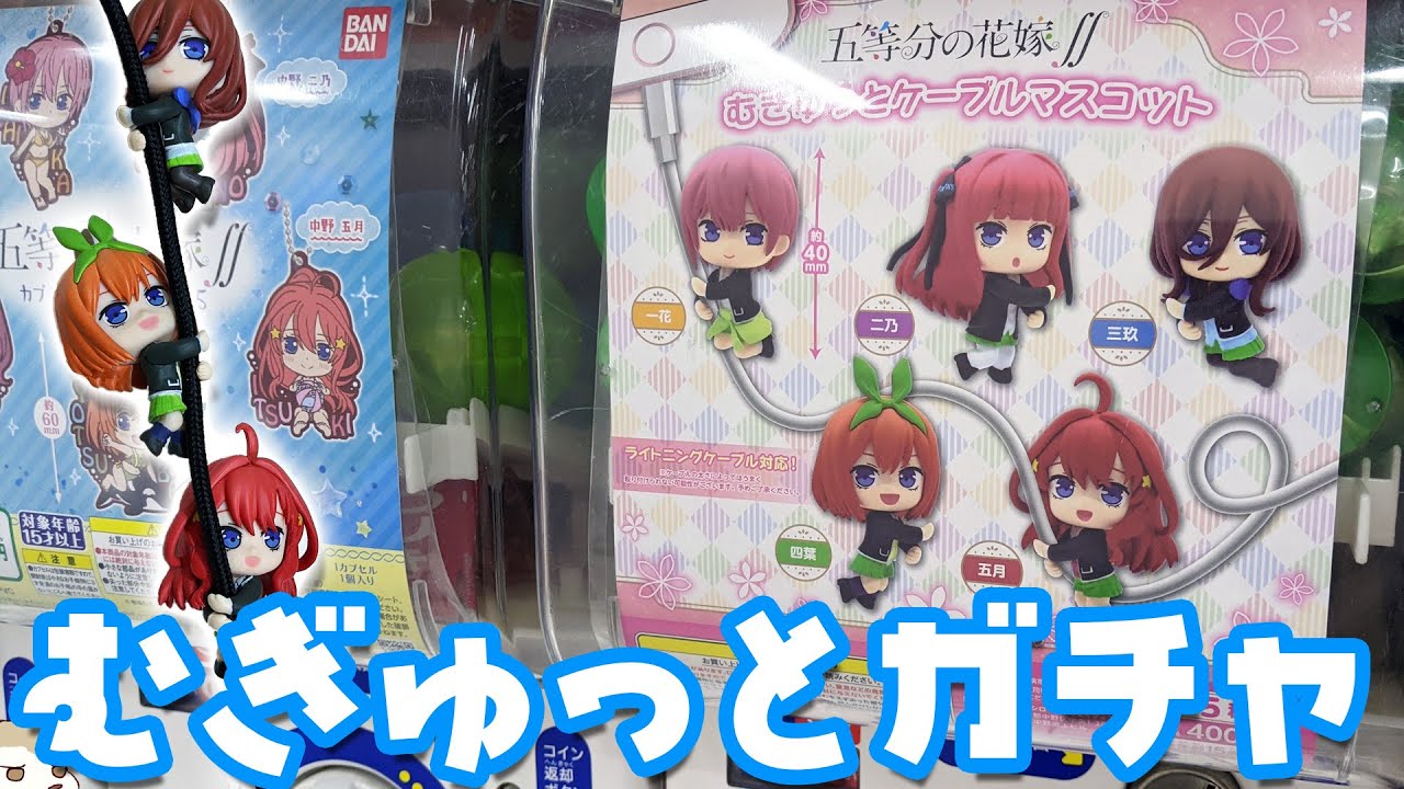 太めのコードにもしっかり抱きつく 五等分の花嫁 むぎゅっとケーブルマスコットガチャ回してみた Youtube 太めのコードにもしっかり抱きつく 五等分の花嫁 むぎゅっとケーブルマスコットガチャ回してみた Youtube