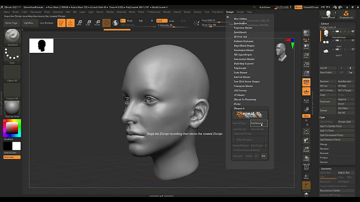 ZRepeat It | Delete Lower Subdivisions - ZBrush