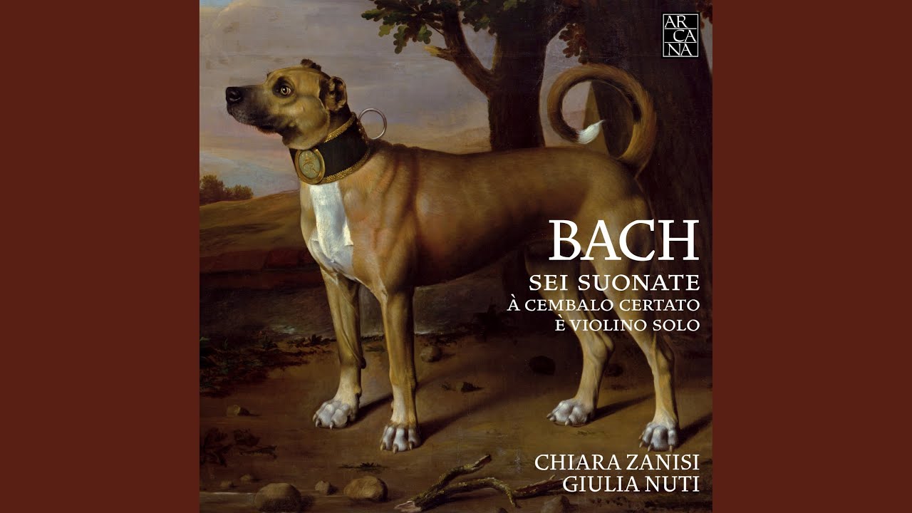 Guarda Violin Sonata No. 1 in B Minor, BWV 1014: I. Adagio su YouTube
