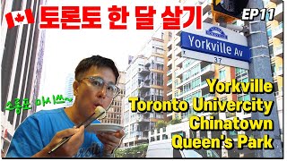 캐나다 한달살기 🇨🇦 토론토 여행 | 토론토의 청담동 욕빌 투어 Yorkville, Toronto Univercity, Chinatown, Queen' Park ep.11