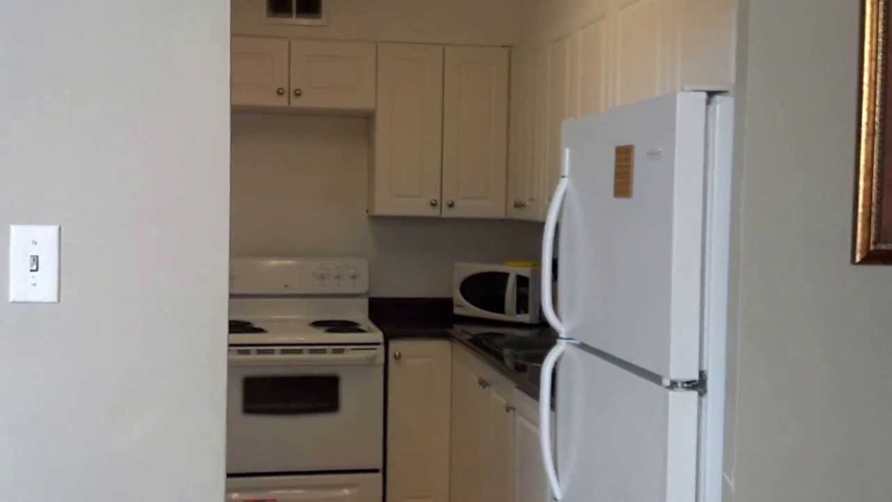 24 Forest Manor Apartment Video YouTube