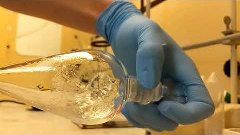 Organic Chem Lab I_CHEM2123_Dr Sari and Dr Ni Lab_Experiment 3 Extraction of Coffee