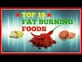 ★★Top 10 Fat Burning Foods For Weight Loss and Belly Fat |2019-2020|★★