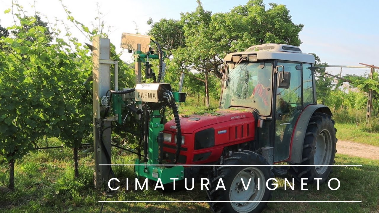 PETTINIAMO LE VITI 🍇(SAME DORADO 75F + CIMATRICE A COLTELLI FAMA)