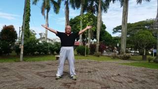 Taiji Qigong Shibashi ~ Set 2