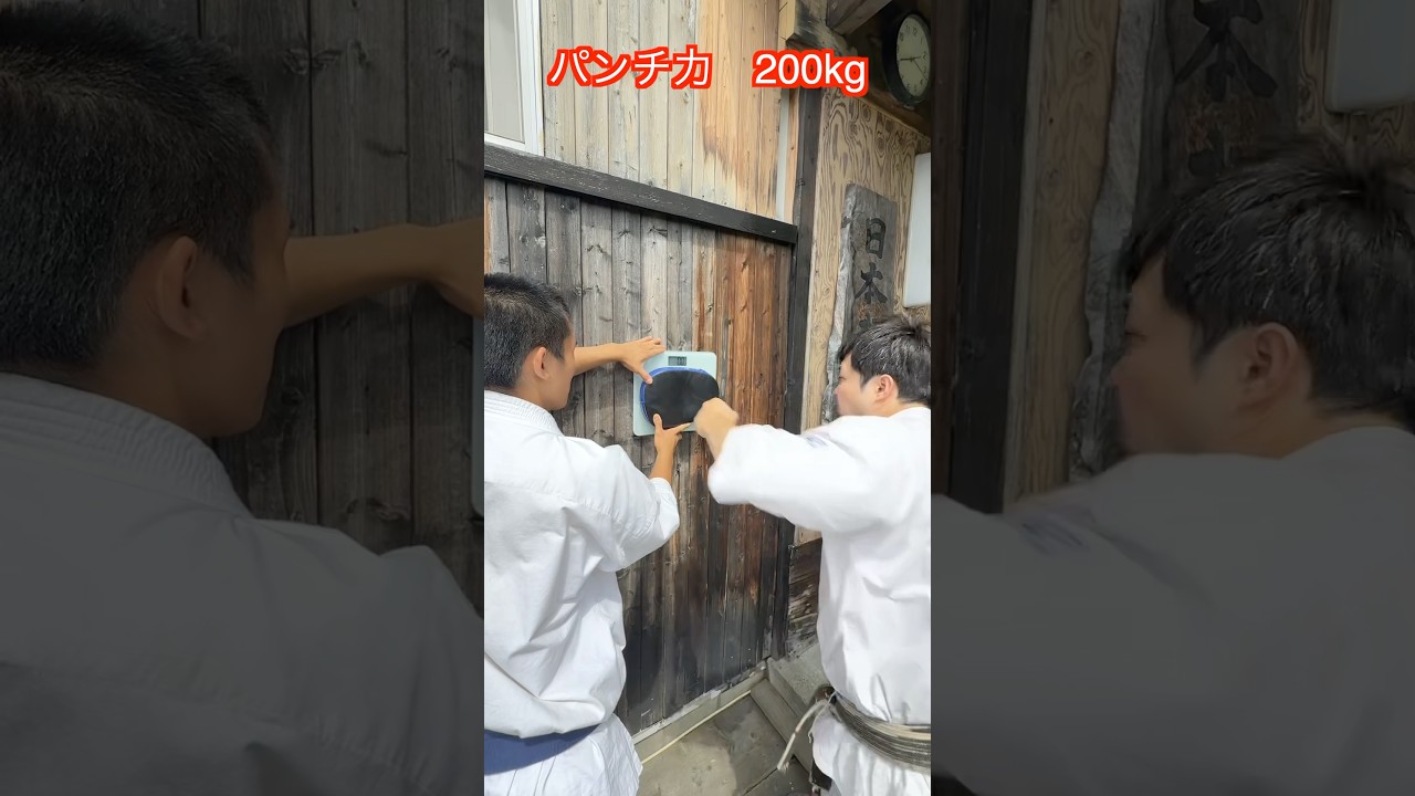 【武道・武術】パンチ力200kgのモンハナシャコの威力を超えられるか!?パンチ力測ってみた!!#aikido #karate #martial #武道 #空手#筋トレ
