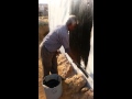Video Image
